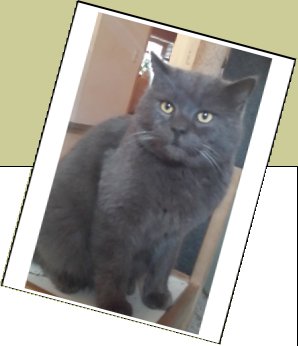 Bild : Paul